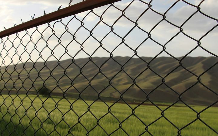 Galvanized chain link fence with a top rail along a grassy field