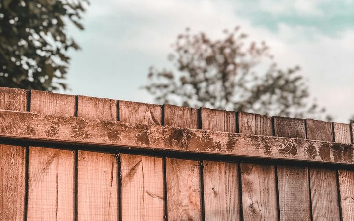 Aging board fence with a weathered, moss-stained top rail