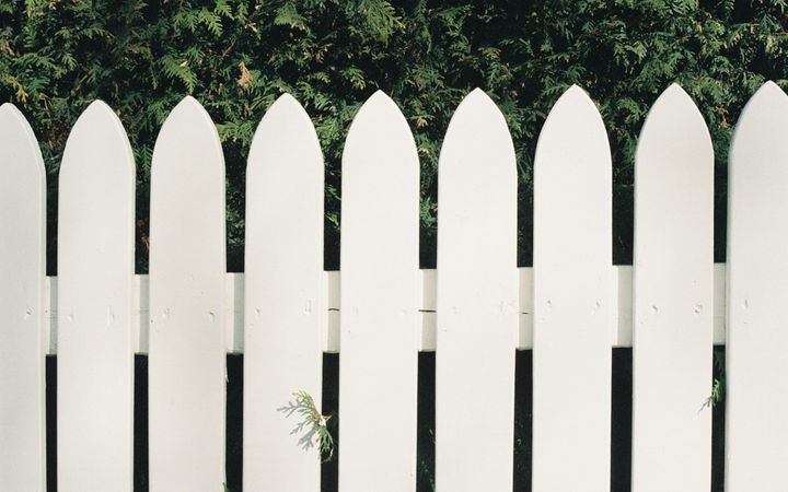 White picket fence in front of a green hedge