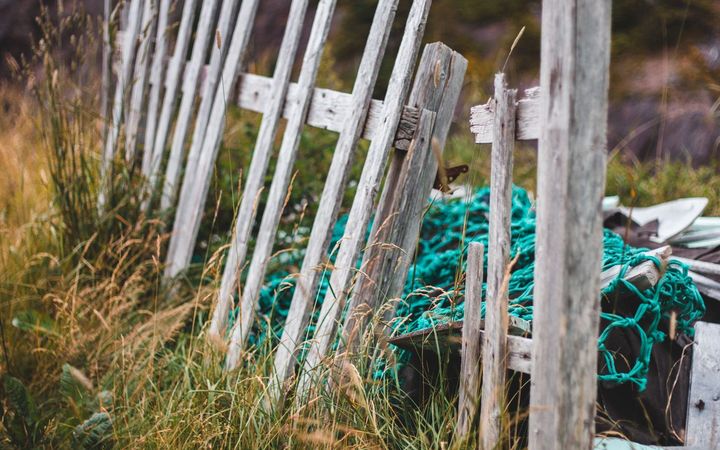 Broken fence pickets leaning over in tall grass